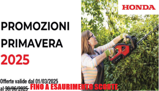 Honda_Volantino_Primavera_zl0Wf0m.original