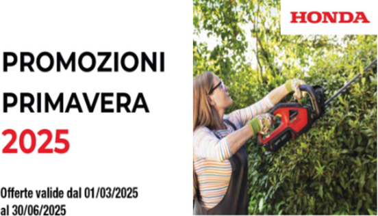 Honda Volantino Primavera