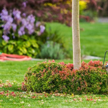 men-with-leaf-blower-cleaning-backyard-garden-2023-11-27-05-02-59-utc